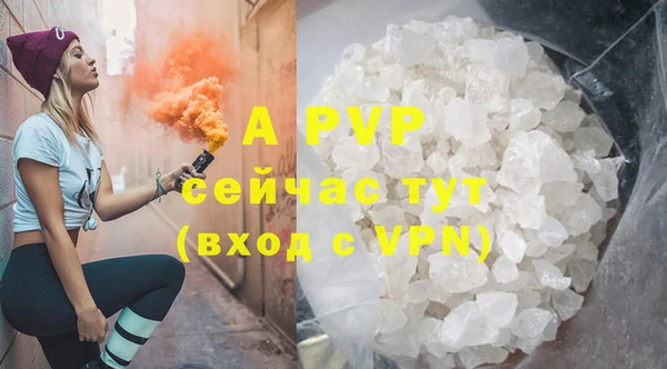 стафф Алзамай