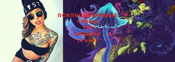 стафф Алзамай